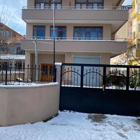Dionis Πανσιόν Πόγραδετς